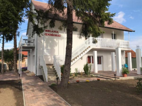 Melánia Vendégház, Balatonfökajar